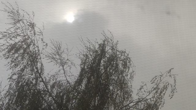 28 апреля ☀️ для вас и прогноз от волшебника...