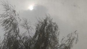 28 апреля ☀️ для вас и прогноз от волшебника...