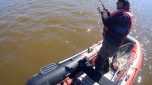 первая джигитовка