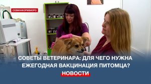 Советы ветеринара: для чего нужна ежегодная вакцинация питомца?