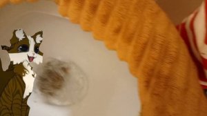 план скам💀 чит опис