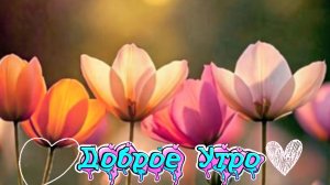 Доброе утро: открытки для друзей, красивые пожелания и доброе утро хорошего дня | Домохозяйка