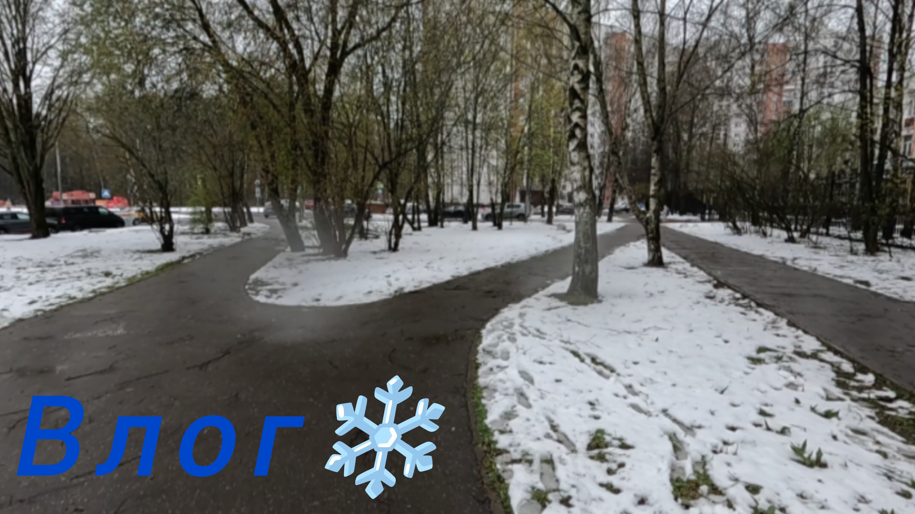 Влог: апрельская зима или зима вернулась.❄️