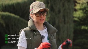 Не кладите спанбонд под кору! Уход за мульчей весной: что делать?