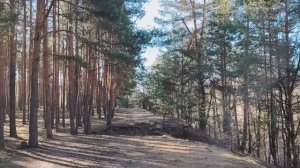 Не хватает рабочих рук? Или мы в поиске работы?