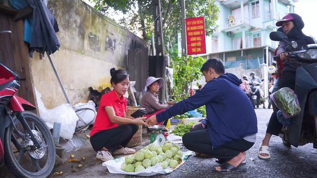 [TIMELAPSE] -- 366 Days Harvesting 1000+ KG Juicy Mango Go To Sell - Elli Life