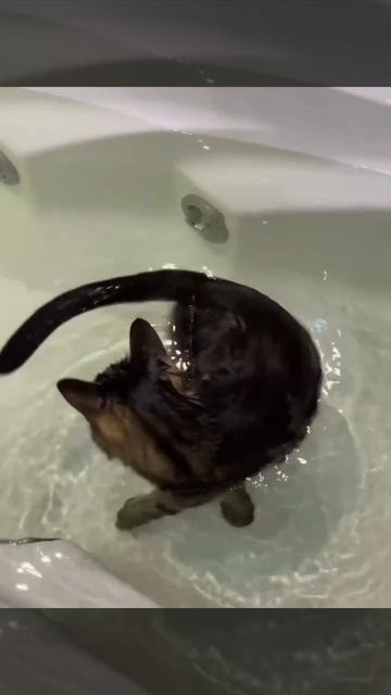 как думаете, может начать снимать чг ?