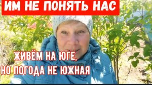 242🏡Живём в чужом краю/Им нас не понять/Кто сглазил😢/Готовимся к заморозкам