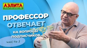 Если РАССАДА ПЕРЕРАСТАЕТ. Уход за РАССАДОЙ томатов и перцев в апреле!