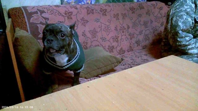 16.03.16.19.Охранник на посту