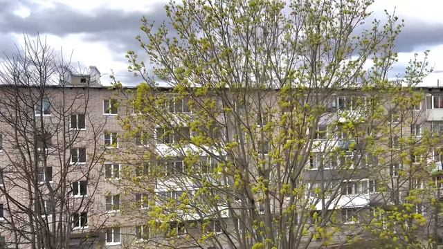 г. Ярцево, ул. Солнечная 3/2, 4/5