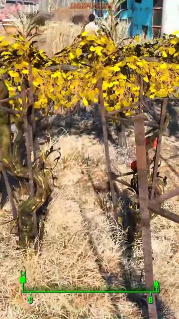 Оставь ствол. Fallout 4. #shorts #fallout