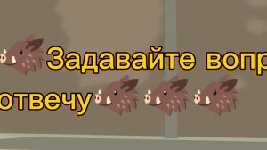 Вопросы задаём 🇷🇺🥴🫡🇧🇾