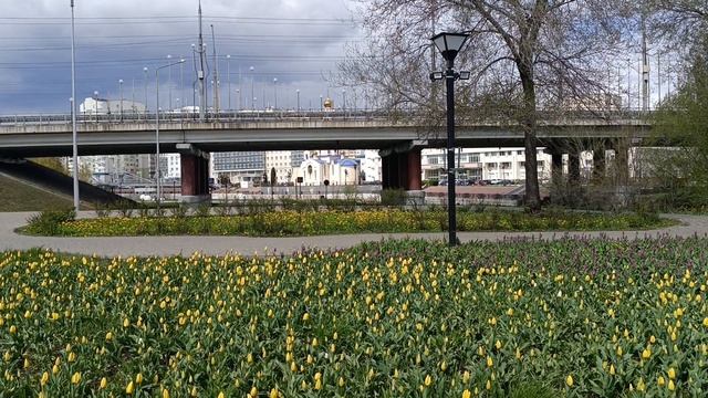 Вот оно, место привлечения Белгородцев! Цветущий город! 28.04 .26