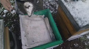 27 апреля ВЕСНОЙ ЗИМА КОРМИМ