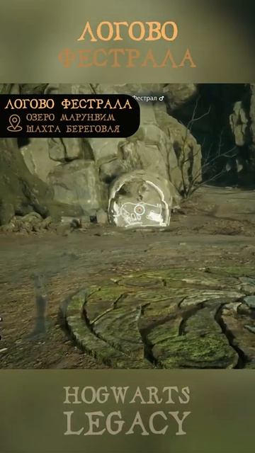 ФЕСТРАЛ   Где найти   Гайд на русском   Hogwarts Legacy   Хогвартс Наследие #shorts