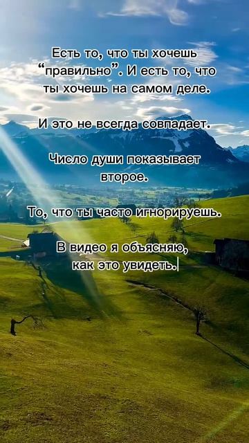 Есть то что ты хочешь 