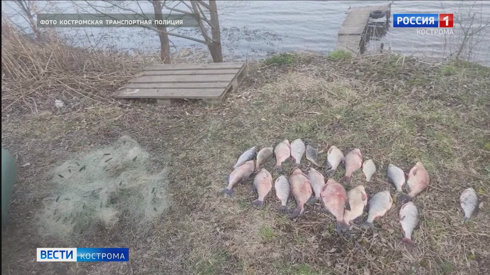 Сотрудники Костромской транспортной полиции задержали с поличным браконьера