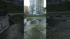 20:00 новости, разберёмся