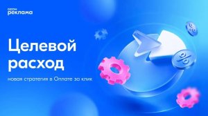 Разбираем стратегию «Целевой расход» на Ozon
