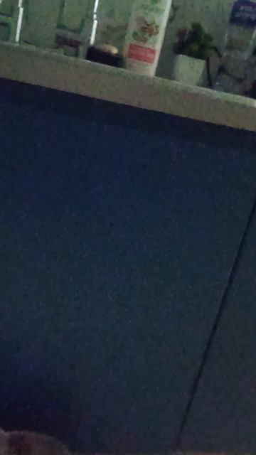 обзор квартиры