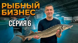Что ПРОИЗОШЛО за эту неделю В УЗВ? Честный бизнес на рыбе в 2026.