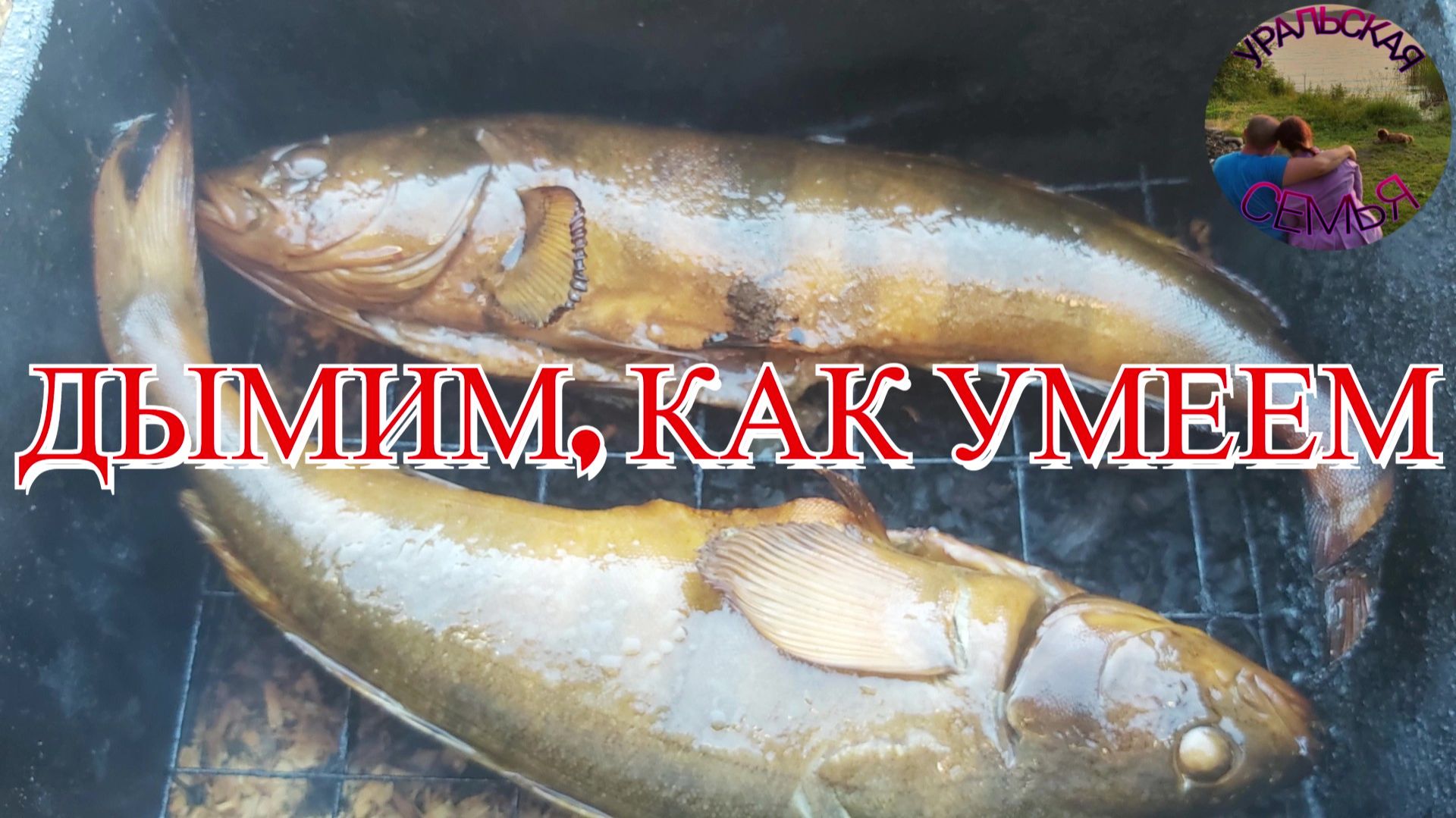 Рыба в облаке дыма