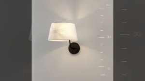 Светильник Maytoni Modesto MOD360WL-01B