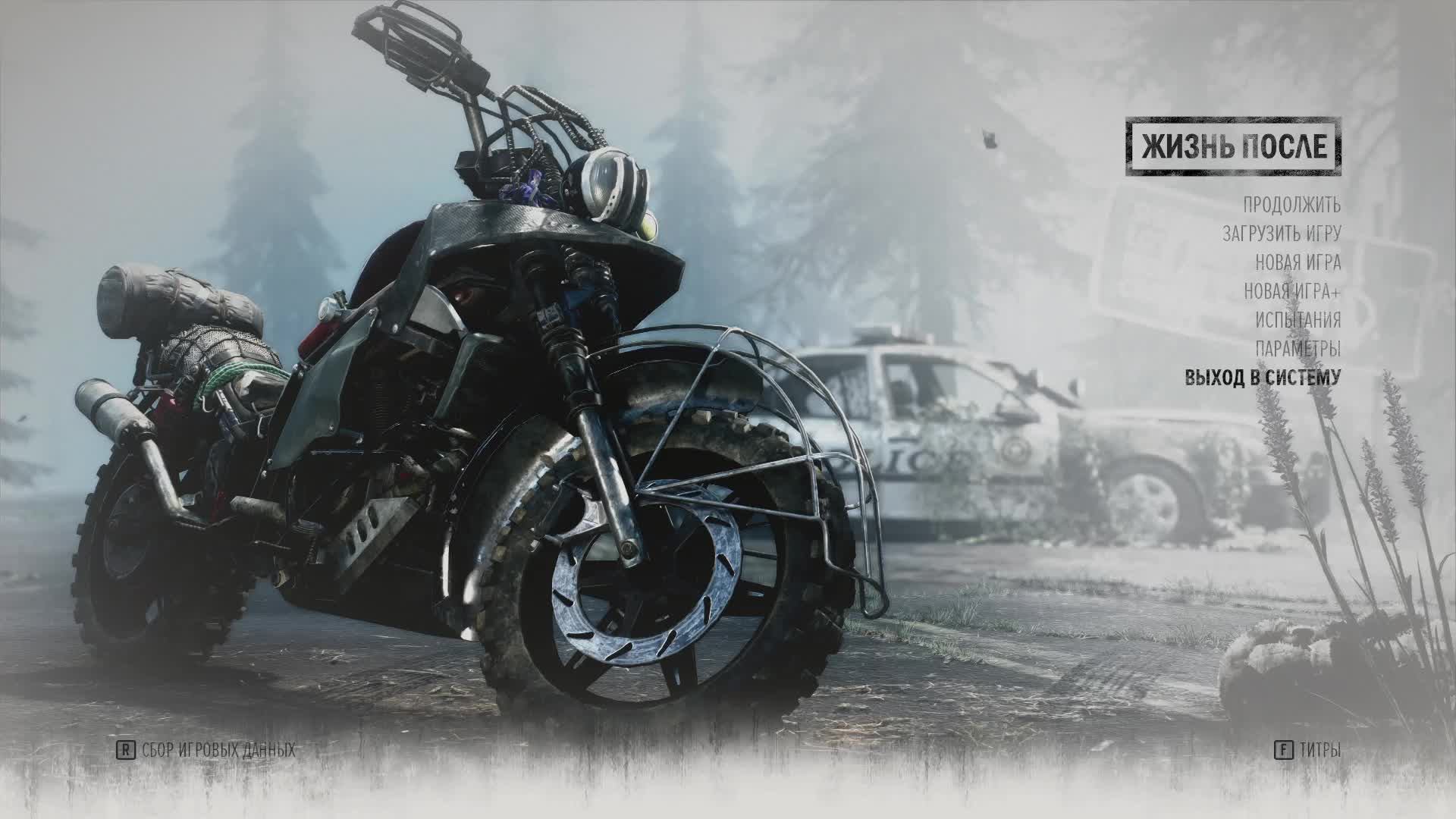 Days Gone #4