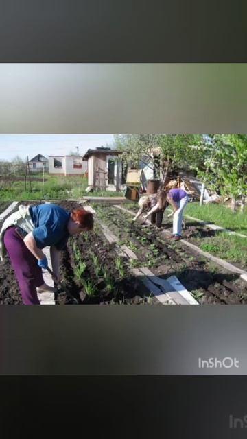 "Жизнь проходит в огороде*💓🥒🍅🍓🌹🥀🌷🌻🥕🍆🥦🧅🧄🫜"(позитивная песня)