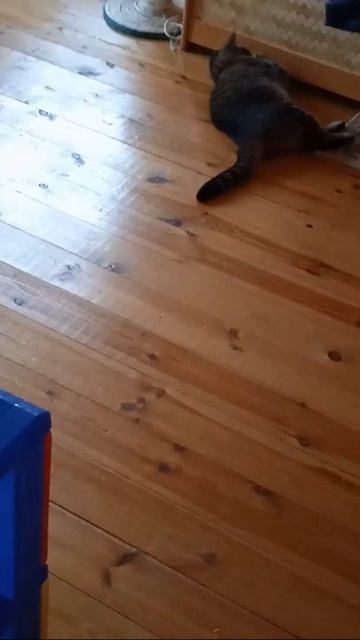 Как достать эту игрушку?