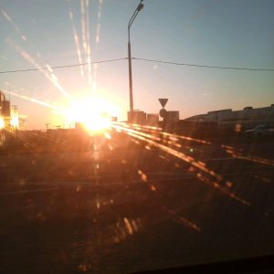 страдаем фигнёй