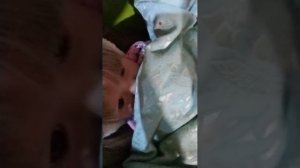 мини влог ночью всем приятного просмотра 🎑