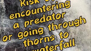 Водопад Гадельша