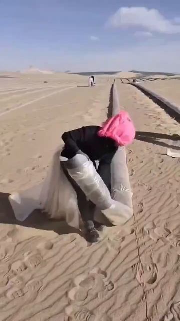 Китай продолжает программу по озеленению пустынь