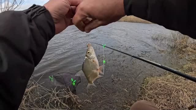 ПОГОДА ВСЁ СЛОМАЛА!Весенняя рыбалка на поплавок.