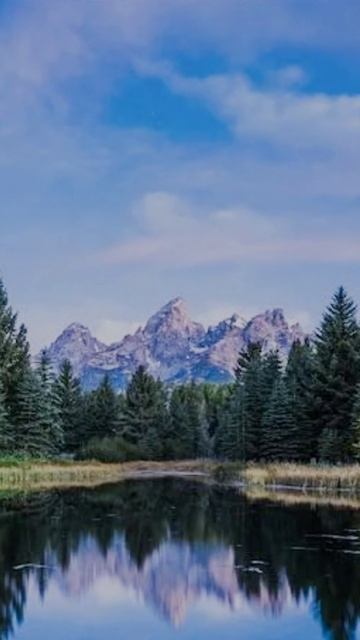 СВЕТ ЖИЗНИ.АВТОРСКИЕ ПЕСНИ.Марина.