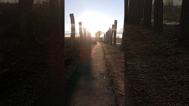 прогулка Верхний Тагил