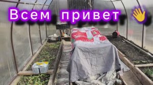 Всем, кто не остался равнодушным ❤️