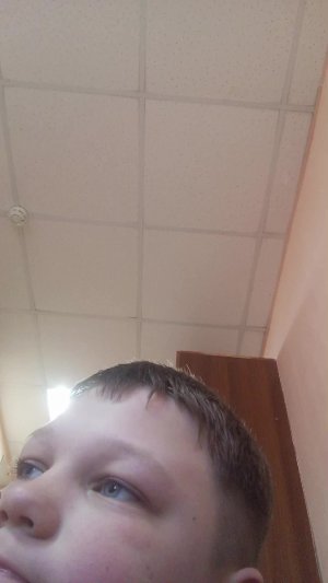 5 стрим на Всероссийских соревнованиях