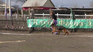 РАБОЧИЙ КОБЕЛЬ СТАНДАРТ