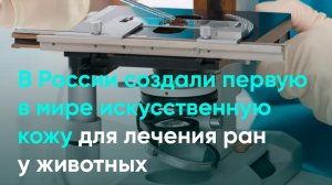 В России создали первую в мире искусственную кожу для лечения ран у животных