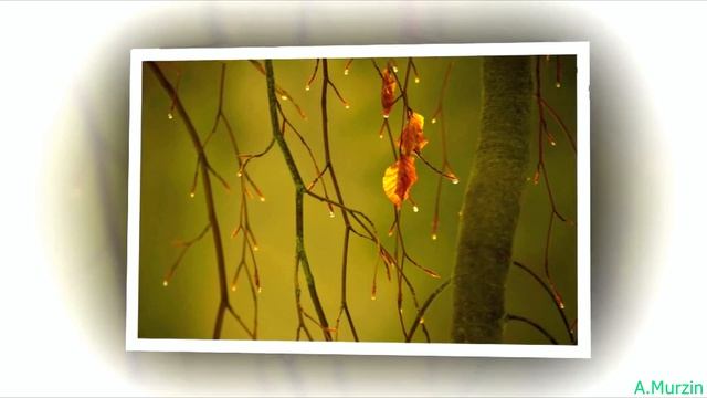 Vasim - Nuclear Place