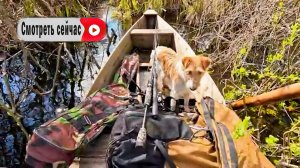 Рыбалка и кемпинг на острове Только я, моя собака и снаряжение