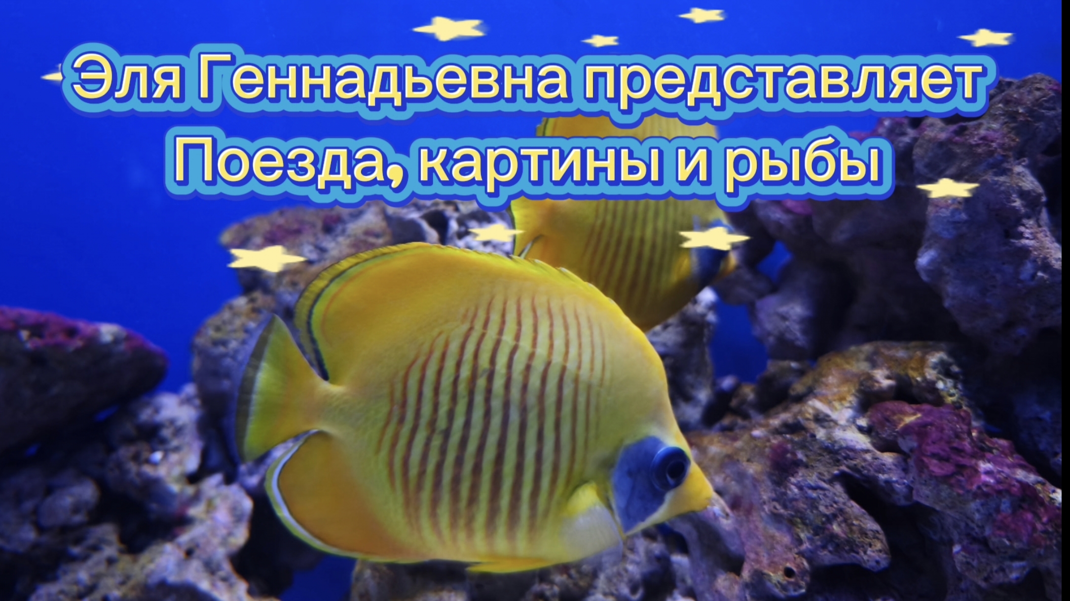 Поезда, картины и рыбы - три дня в Питере #элягеннадьевна #путешествие #санктпетербург #эрмитаж #ржд