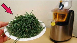 Сок из Сосновых иголок! Выдержит ли это Соковыжималка? Что если сломается?