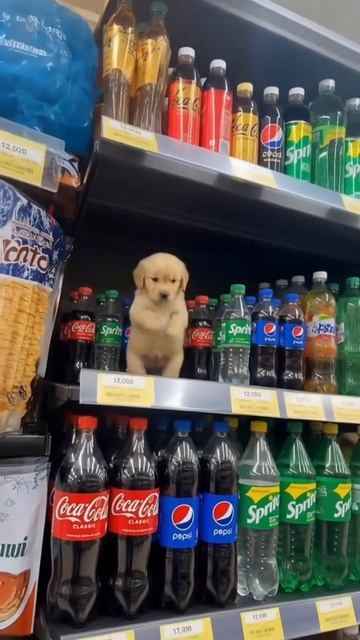 Ну что сказать