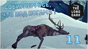Выживание в игре The Long Dark №11 Собираем все, что под ногами !