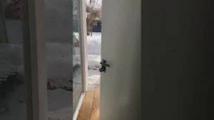 Входная дверь белого цвета с хромированной ручкой — портфолио компании «Медверь»