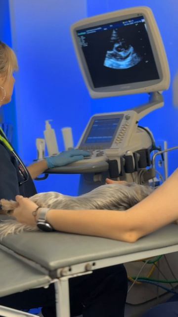 Поморцева А.В.